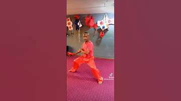 ውሹ ፋን እንቅስቃሴ 