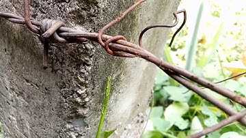 time-lapse with Diy tripod