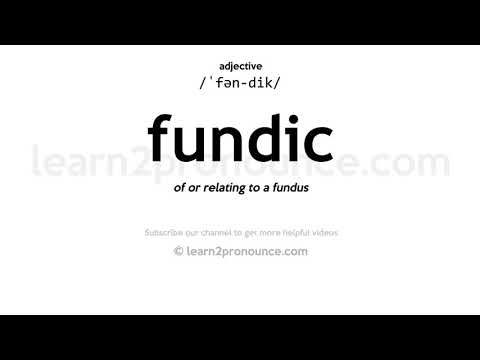 Pronunciation of Fundic | Definition of Fundic