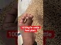नौकरी छोड़ शुरू किया घंटे में 1000Kg feed pellets तैयार करने वाली Cattle Feed  स्टार्टअप