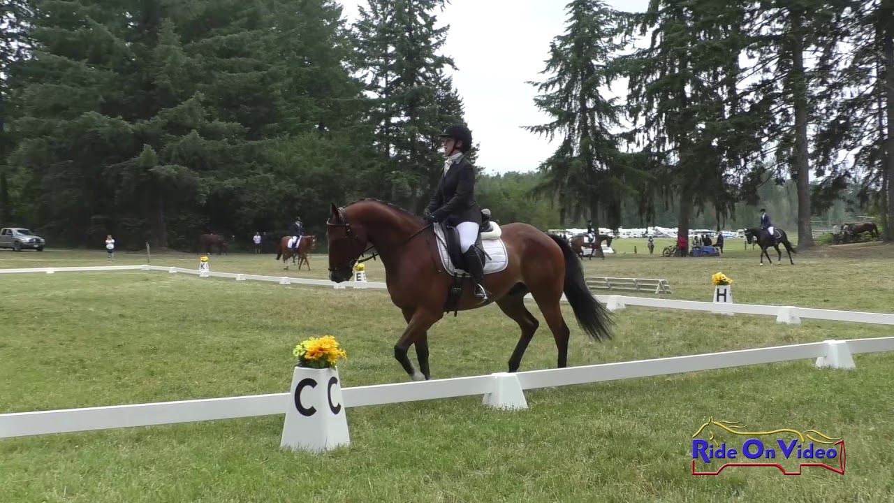 horseshoe bend 114D Madelyn Myers on Bare Necessities JR Training Dressage Aspen Farms June 2019