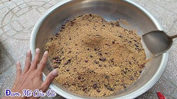 Bài Mồi Chuyên Câu Cá Trôi, Chép, Rô Phi, Mè Vinh, Hiệu Quả - Dễ Làm - P1 |  Big Fishing Bait