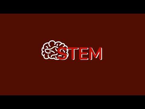 STEM-практикум. Плавательный пузырь
