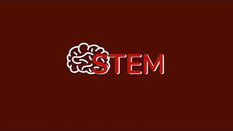STEM-практикум. Плавательный пузырь