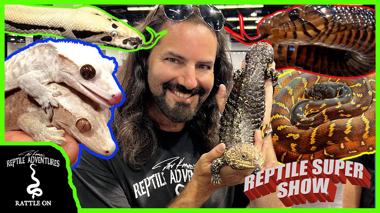 ANAHEIM REPTILE SUPER SHOW JULY 2023 YouTube anaheim-reptile-super-show-july-2023-youtube