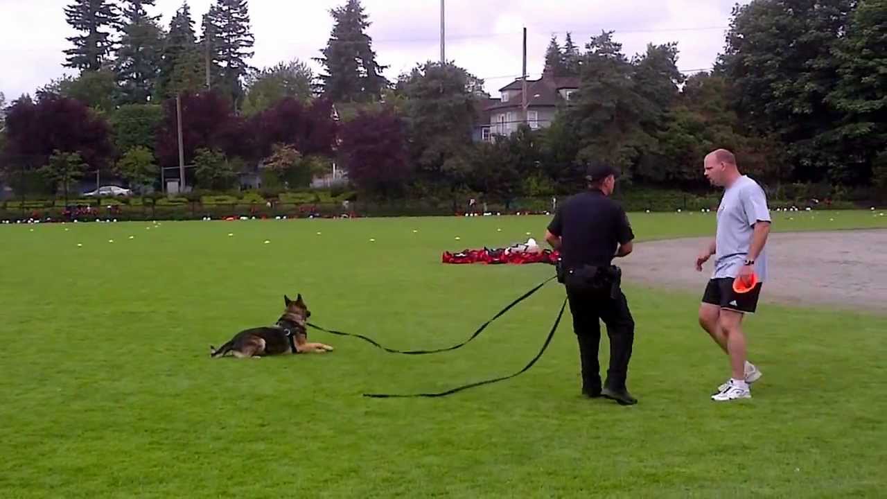 policella 2012 NWPD Soccer School K-9 Demo