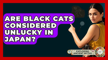 Are Black Cats Considered Unlucky In Japan? - Exploring Ancient Myths