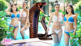 Download Lagu VR360 META - Two Hot Bikini Sisters In The Pool And Giant Snake Download Lagu VR360 META - Two Hot Bikini Sisters In The Pool And Giant Snake