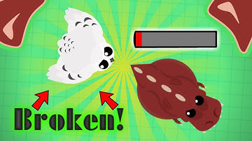 Mope.io Snowy Owl Is Broken!!! + Elephant 1v1 Arena