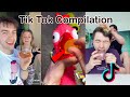 Tik Tok Compilation (Tiktok Apple, Jelly Fruit, Baby Tries, Nik Lip, Vampire, Fang gang)