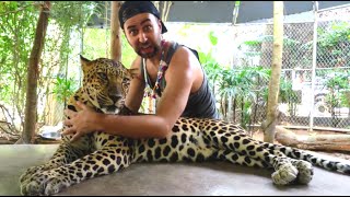 BEST MOMENTS OF THAILAND IN 27 MINUTES
★ Subscribe to me NOW: http://bit.ly/ViralBrotherErik
★★ Follow me on Instagram: http://instagram.com/erikmeldik
★★★ Get ViralBrothers Merch: http://trikator.com/viralbrothers
★ Follow me on Twitter: http://twitter.com/erikmeldik
★ Like my Facebook: http://facebook.com/meldik
✔ SMASH THE LIKE BUTTON if you liked this video :-)
I really appreciate it.
You are my HAPPY HAPPY FAMILY!
►►► Get T-Shirt BE HAPPY HAPPY here:
http://www.trikator.com/en/tshirt-happy
Thank you for watching!
With love
Your
Erik Meldik
#BeHappyHappy
☺ SEND ME YOUR LOVELY MAIL HERE:
VIRALBROTHERS (ERIK)
P.O.BOX 134
KAFKOVA 19
16041 PRAHA 6
CZECH REPUBLIC
► Our main prank channel: http://youtube.com/ViralBrothers BEST MOMENTS OF THAILAND IN 27 MINUTES