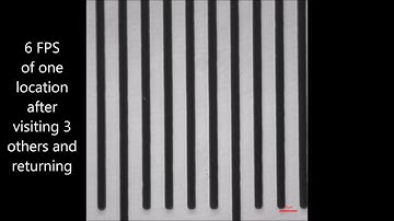 Positional repeat-ability of the LS720 with 100x objective