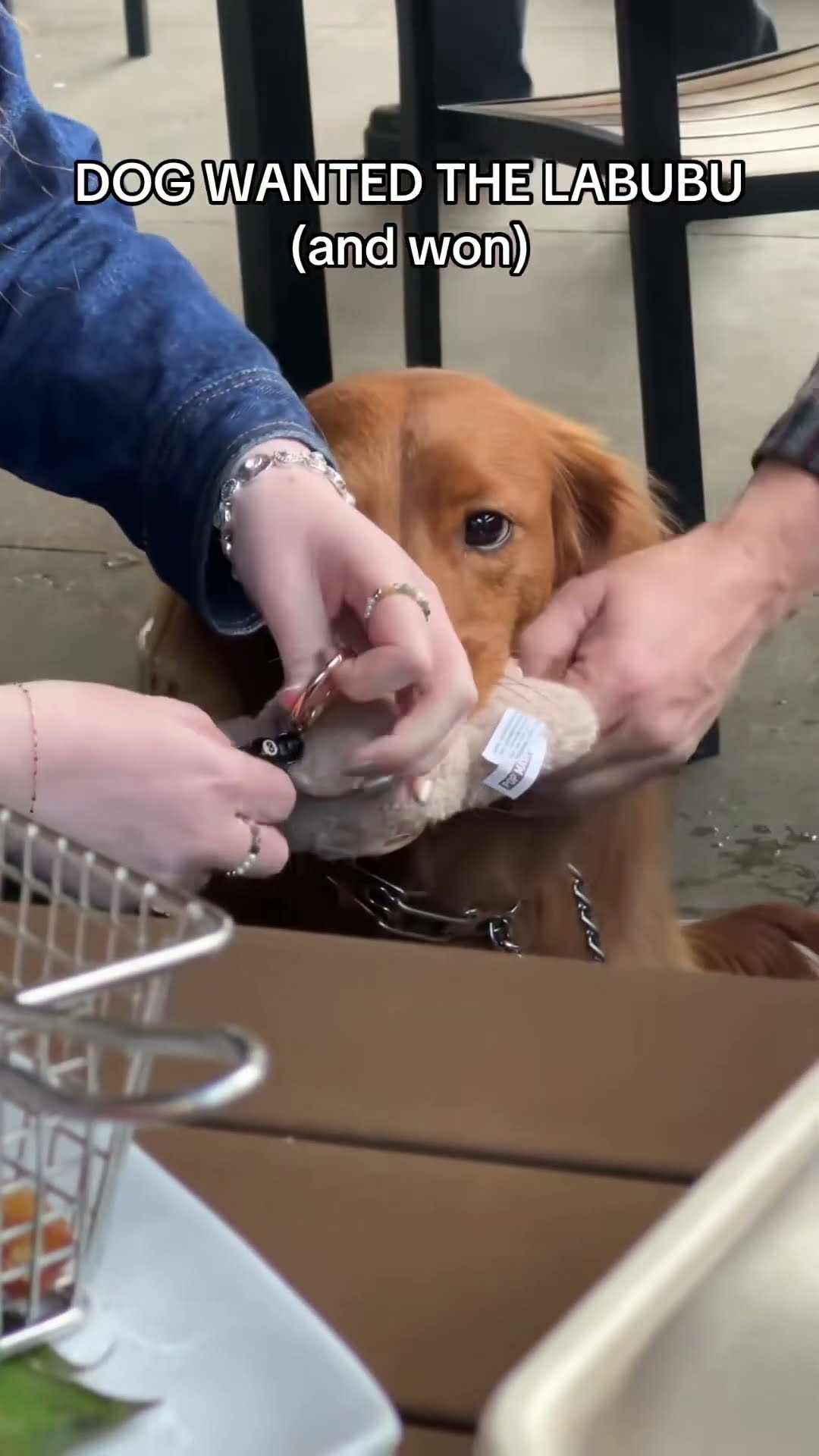 Doggo playing that war time they not joking