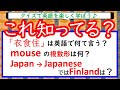 【英語クイズ:3】楽しみながら英語の知識を身につけよう #英語 #英会話 #english #英語学習 #toeic