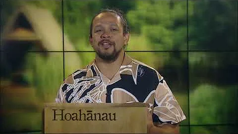 Hawaiian Word of the Day - Hoahanau