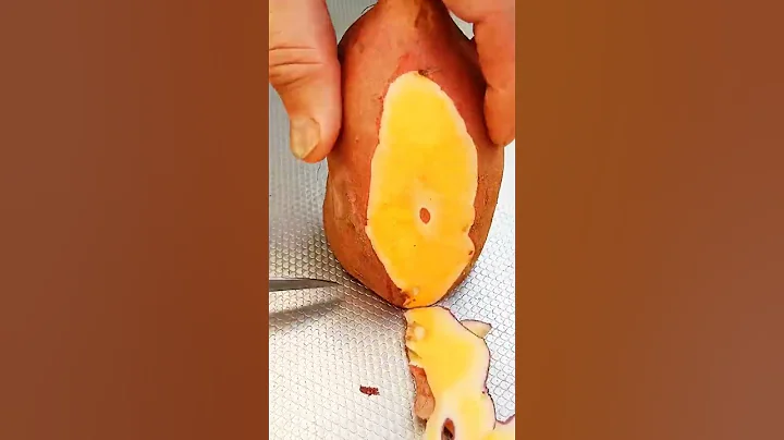 TL 71002001 mini rotary tillage and ridging all-in one hundred fourty four tree 🌴