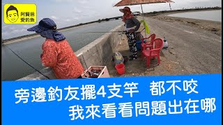 【阿賢爸】愛釣魚 Ep.345 旁邊釣友擺4支竿都不咬  我來看看問題出在哪    Taiwan Fishing 台湾の釣り 대만 낚시(20240415)