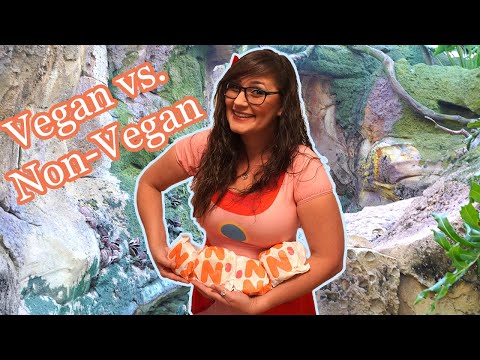 Dunkin' Donuts – Beyond Sausage vs Regular Sausage Breakfast Sandwich with a vegan & non-vegan