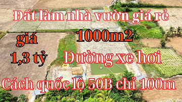 Đất Cần Giuộc giá rẻ. Diện tích 1000m2, đường xe hơi khu đông dân, gần quốc lộ 50B, giá tốt, SHR