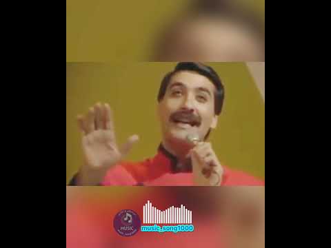 ربيع الخولي ياريت بترضي