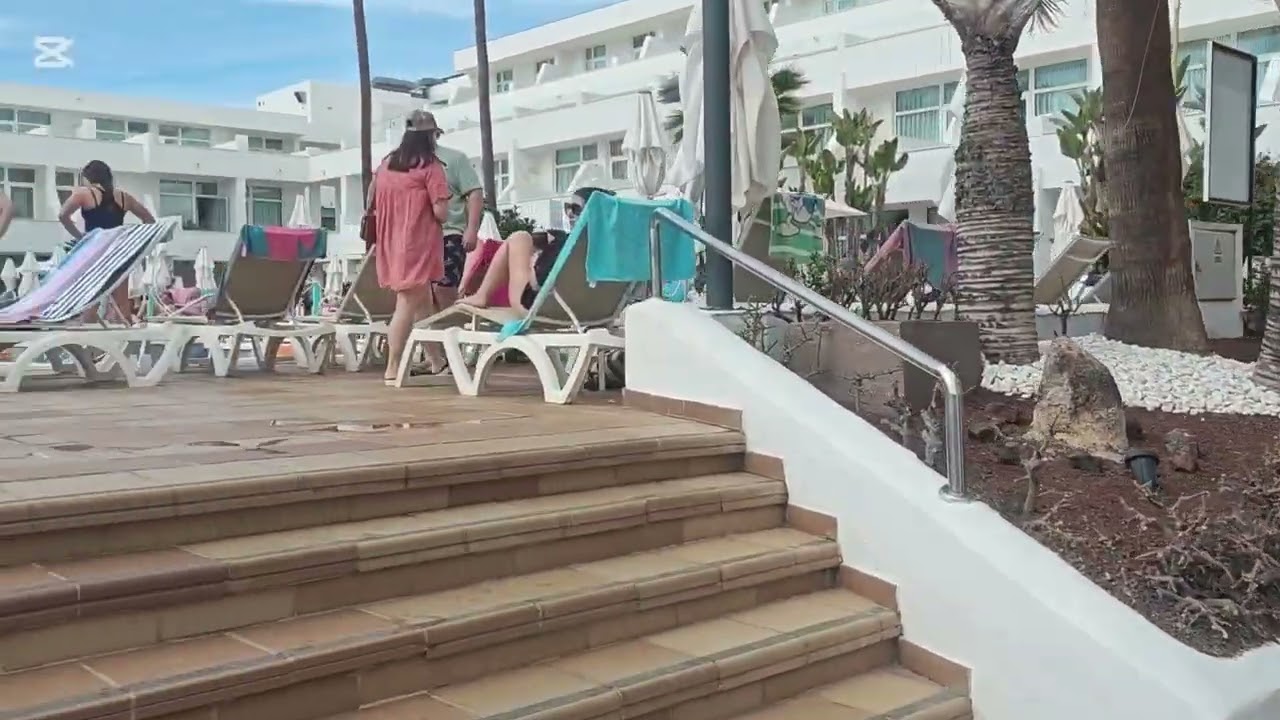 CANARIAS EN INVIERNO 💏🐞🐝