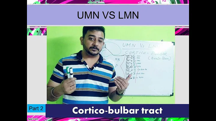 Part 2 #Corticobulbar#tract #UMN #LMN #BELLSPALSY #FASICALPALSY #PYRAMIDAL