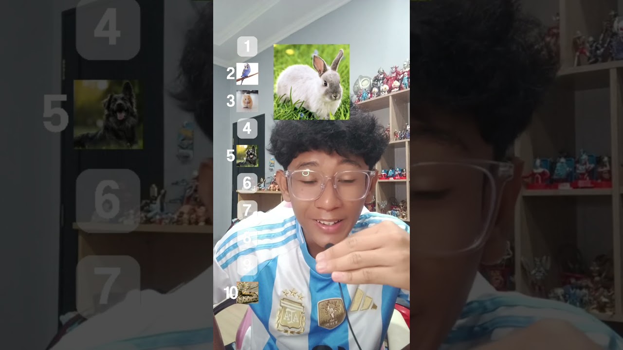 RANKING HAIWAN YANG AKU NAK BELA DEKAT RUMAH #shorts #shortvideo #animals