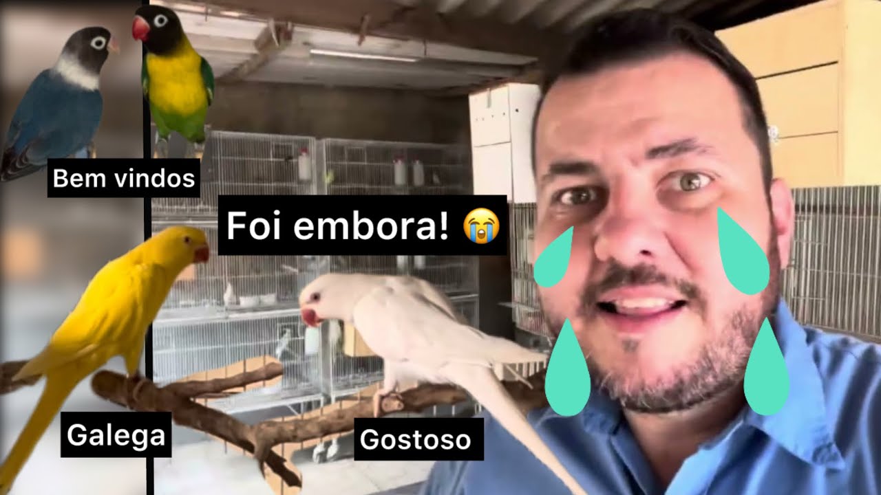Despedida de uns, chegada de vários e muita novidade no criatório 