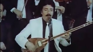 FERDİ TAYFUR - SEVGİLER ÇİÇEK GİBİ Resimi