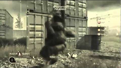 Polaroid StaTuZ Vs Maaad pX I COD4