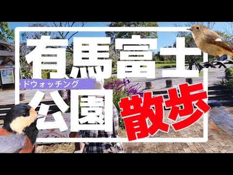 087【兵庫県立有馬富士公園】公園散歩/福島大池歴史/施設案内/野鳥観察/秋空景観/きっと行きたくなる動画【GGVlog】R4/10