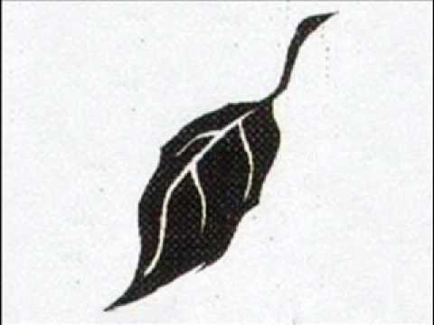 AFI - a single second