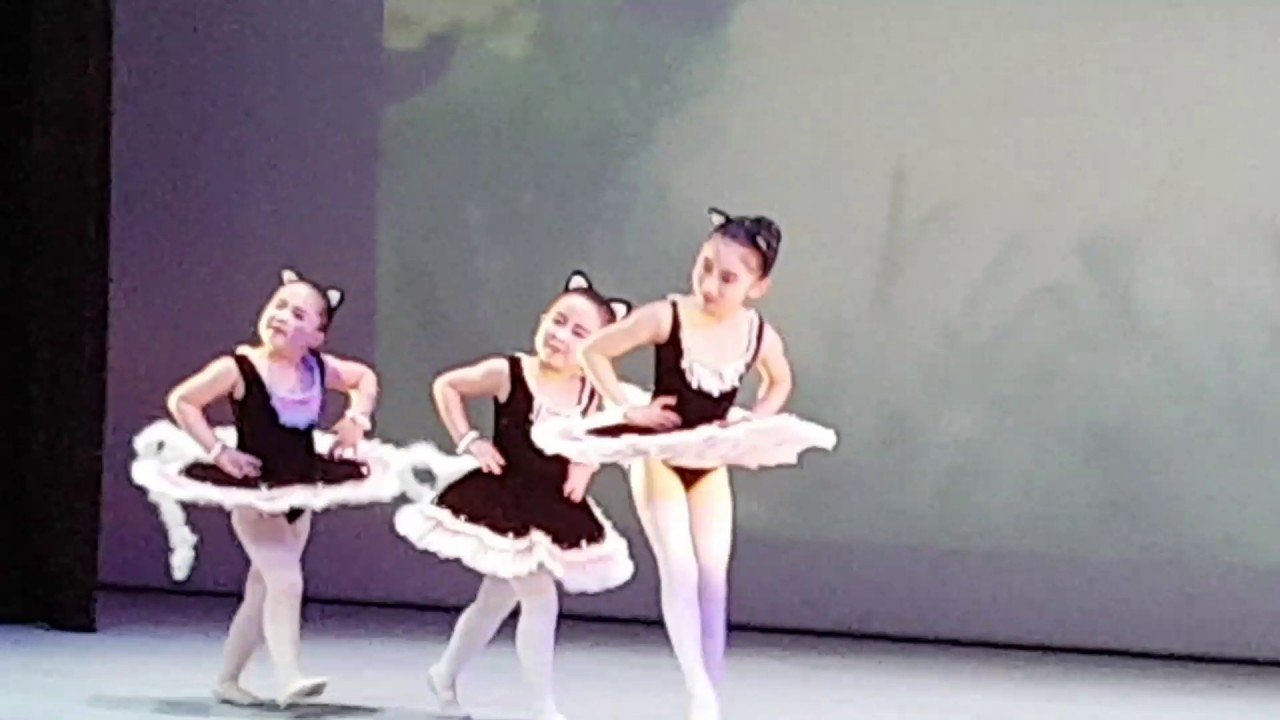 7세 이슬발레 블랙캐츠