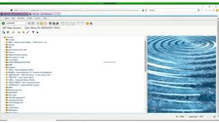GCSS-ARMY HACKS (How to print, display/view, save and send an email Primary Hand Receipt)