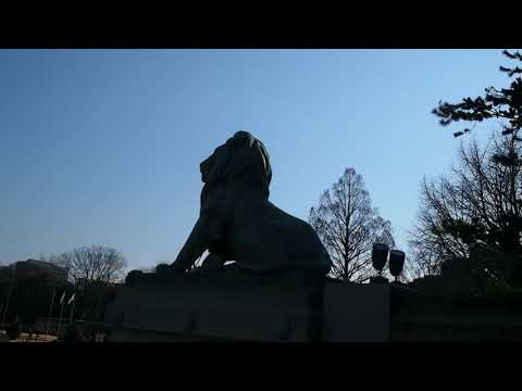 東京国立博物館　表慶館　2018.02.15
