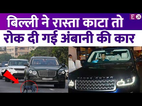 Akash Ambani का बिल्ली ने काटा रास्ता, Karan Johar के घर के बाहर उनके साथ हुआ ये अपशकुन