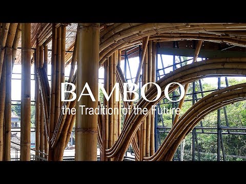 Bamboo--the Tradition of the Future