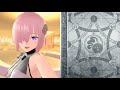 [한글자막]岡田梨央 - パーソナル·レッスン (퍼스널 레슨)[Fate/Grand Order Waltz OST]