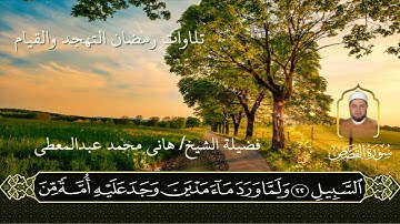 الشيخ. هاني محمد عبد المعطي الريدي _ ماتيسر من سورة القصص