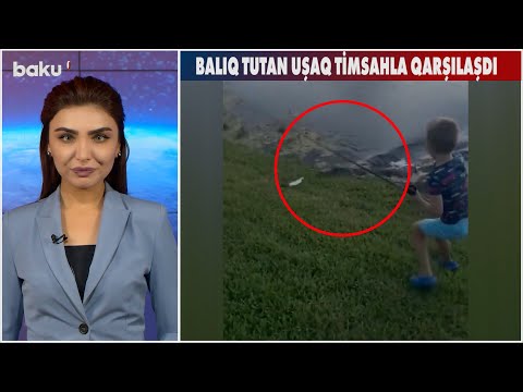 Balıq tutan uşaq timsahla qarşılaşdı - Baku TV