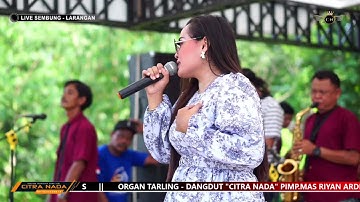 TOANG TAMBI ~ IKA BONITA // CITRA NADA LIVE DESA SEMBUNG KIDUL // LARANGAN - BREBES