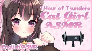 Let the Seven Catgirls of Nekomeikan Pleasure Your Ears With Relaxing ASMR