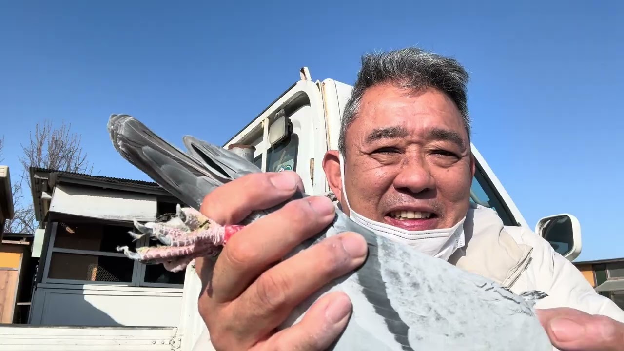 オールドカン720 PB ♀