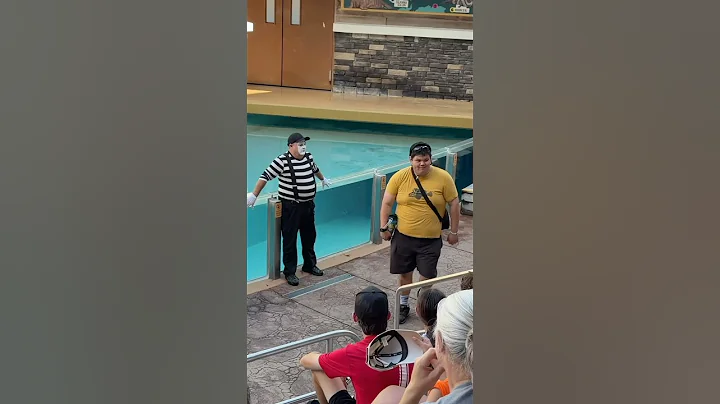 No words… just that face 😂😆 Tom mime Seaworld #seaworldmime #tomthemime #funny #shorts #comedy