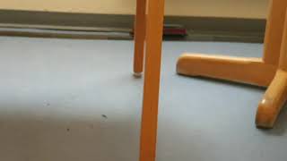 Kurbahning 2020 In Lehmrade