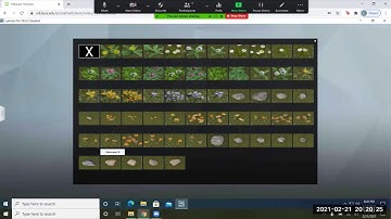 Lumion - Random Plants Tutorial