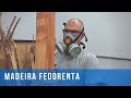 7 Madeiras Fedorentas - Muito Fedidas Mesmo