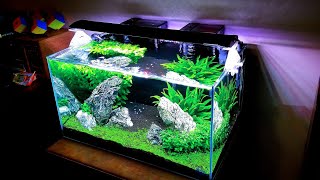 UPDATE:  20 Gallon Rimless Planted Aquarium