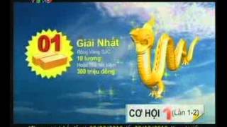 08 21 10 Bidv Bank Bidv Bank Rong Vang Thang Long Promo 02 08 30 10 2010 Tvc Archives
