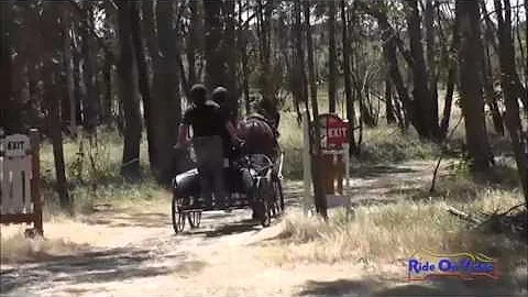 18M Paula Hagen Intermadiate Single Horse Marathon...